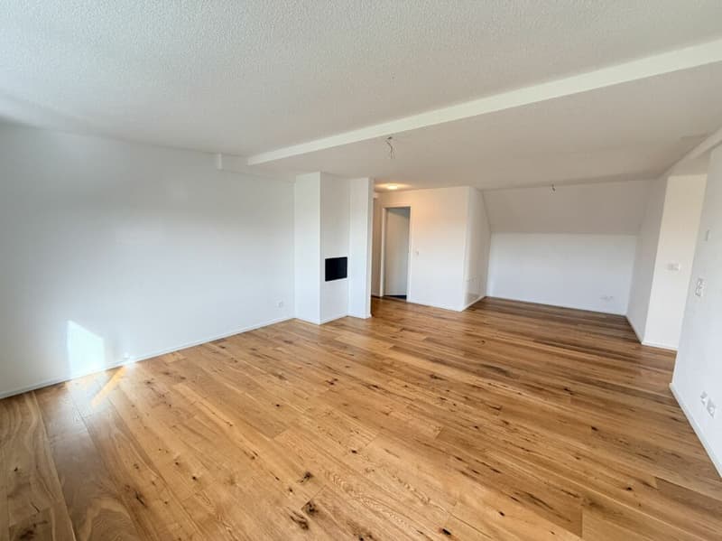 5.5 Zimmer Wohnung (3)