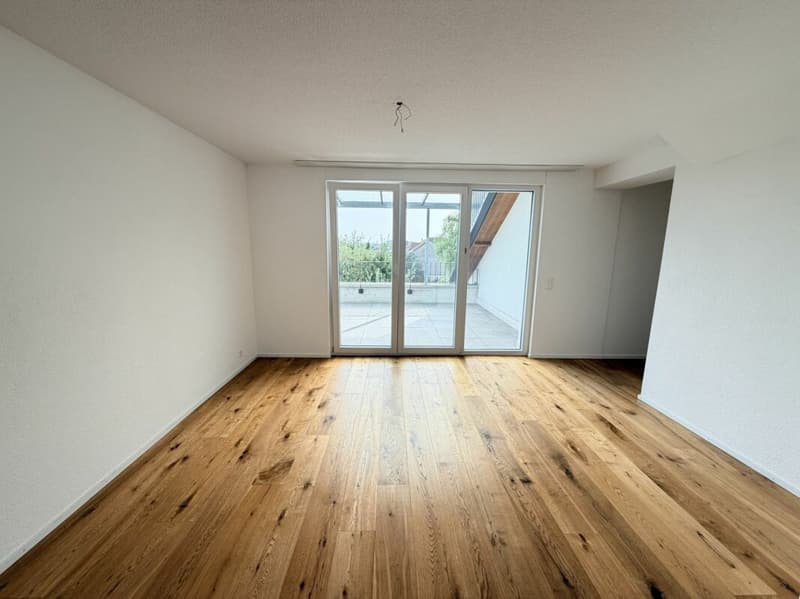 5.5 Zimmer Wohnung (13)