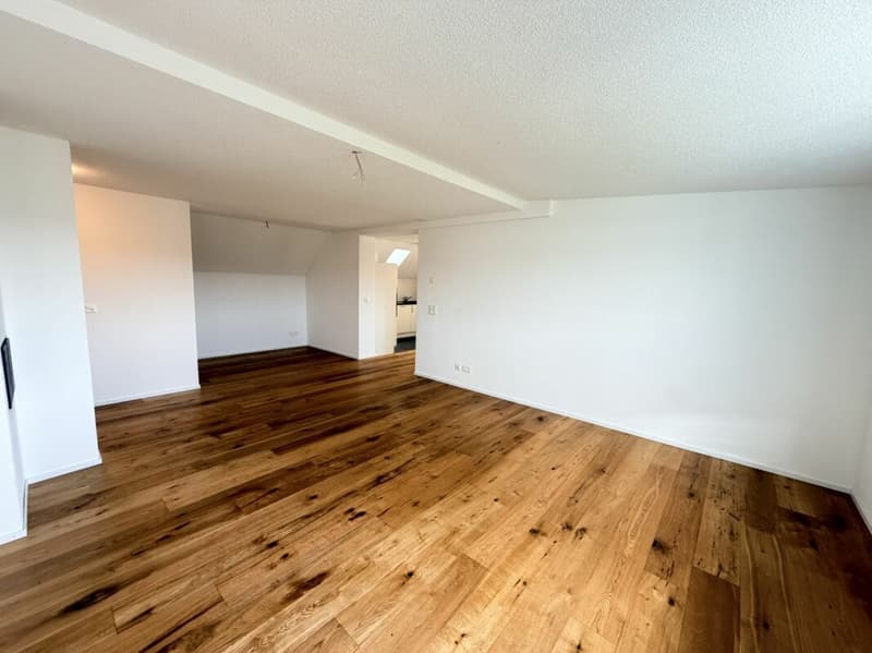 5.5 Zimmer Wohnung (4)
