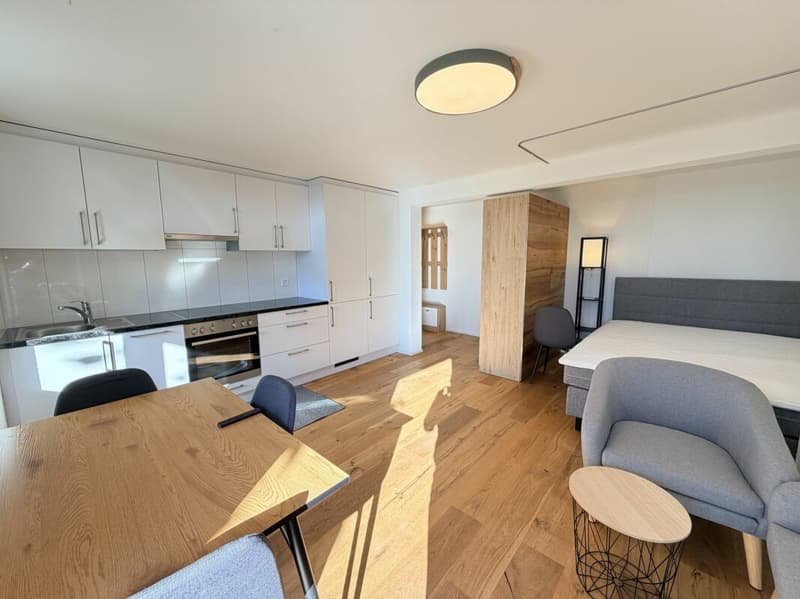 Möblierte 1-Zimmer-Wohnung mit Balkon (2)