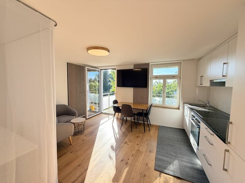 Möblierte 1-Zimmer-Wohnung mit Balkon (1)