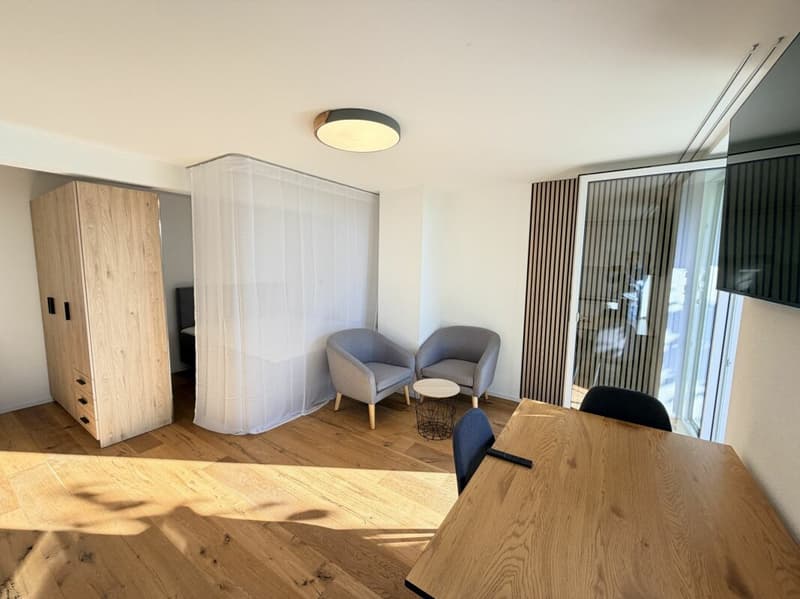 Möblierte 1-Zimmer-Wohnung mit Balkon (4)
