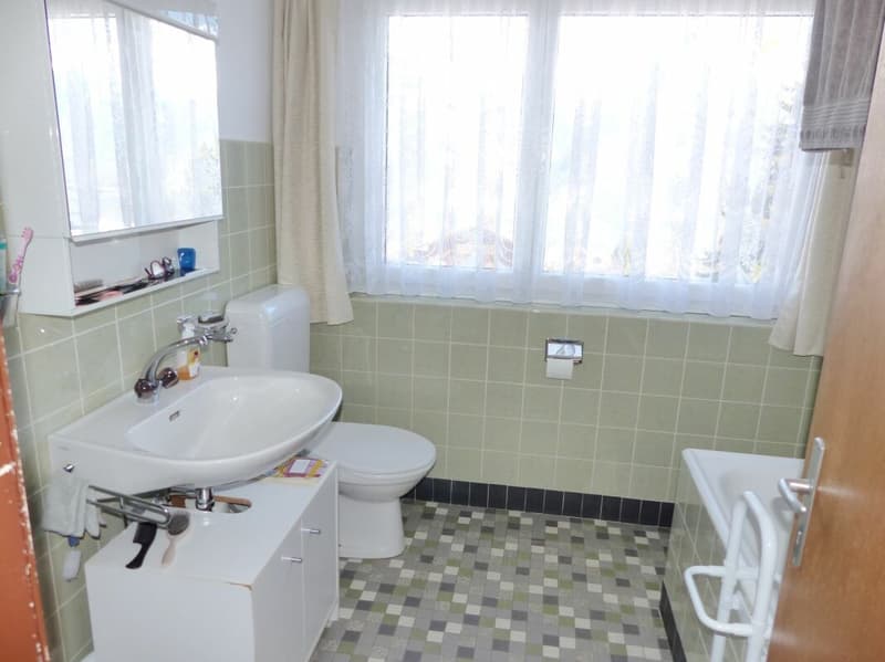 Large 9-room single-family house with great potential in a dream location (6)