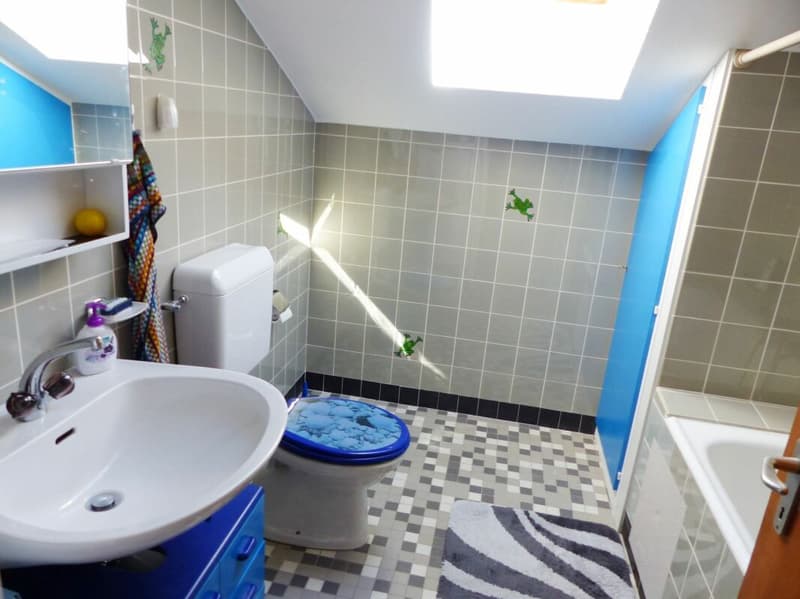 Large 9-room single-family house with great potential in a dream location (10)