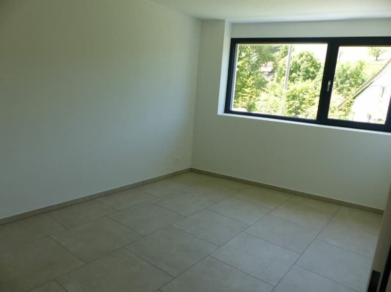 Appartement attractif 4.5 pièces à louer / neuf (10)