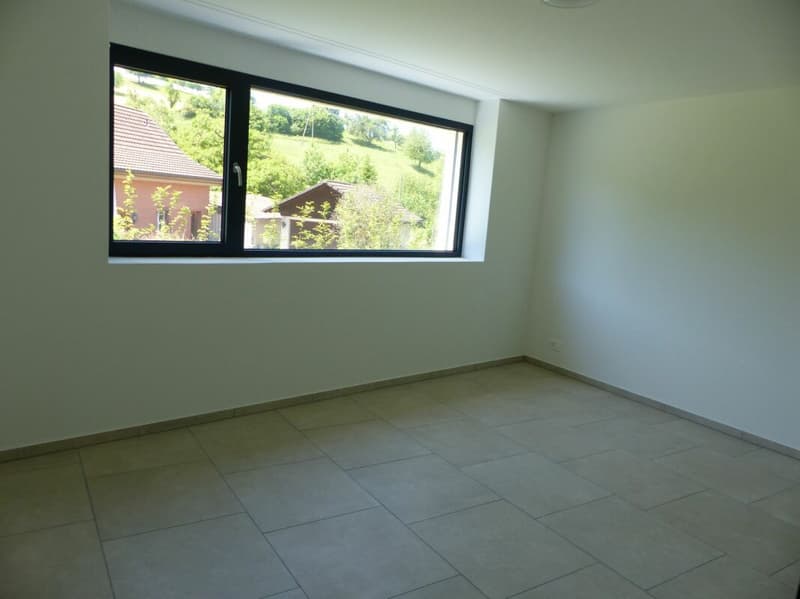 Appartement attractif 4.5 pièces à louer / neuf (9)