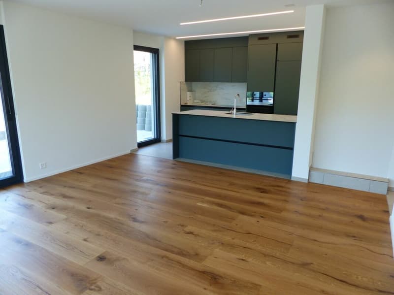 Appartement attractif 4.5 pièces à louer / neuf (3)