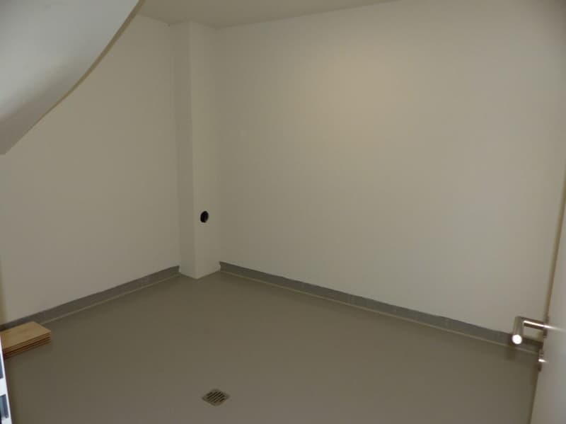 Appartement attractif 4.5 pièces à louer / neuf (12)