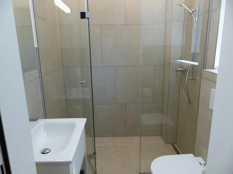 Appartement attractif 4.5 pièces à louer / neuf (8)