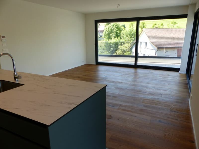 Appartement attractif 4.5 pièces à louer / neuf (6)