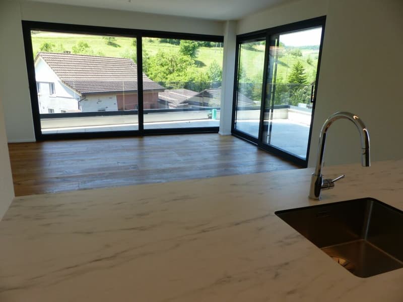 Appartement attractif 4.5 pièces à louer / neuf (5)