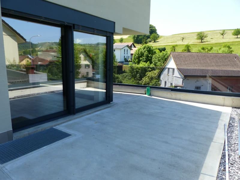 Appartement attractif 4.5 pièces à louer / neuf (7)