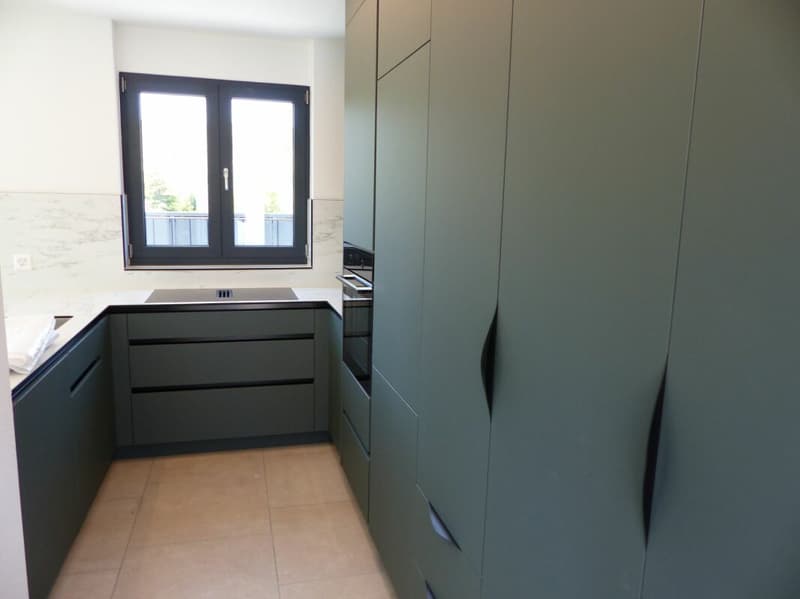 ATTRAKTIVE 4.5 ZIMMER-ATTIKA ZUM MIETEN / NEUBAU (3)