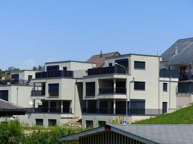 ATTRAKTIVE 4.5 ZIMMER-ATTIKA ZUM MIETEN / NEUBAU (16)