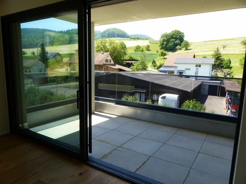 ATTRAKTIVE 4.5 ZIMMER-ATTIKA ZUM MIETEN / NEUBAU (10)