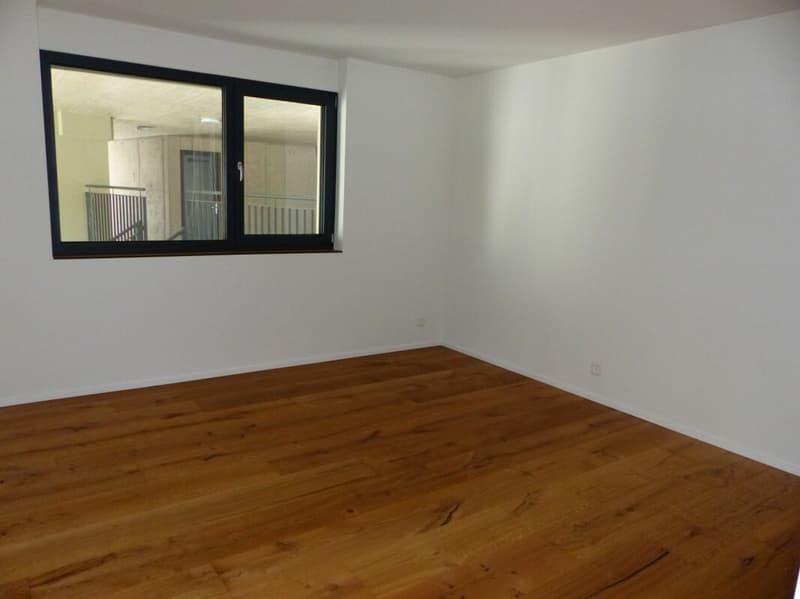 ATTRAKTIVE 4.5 ZIMMER-ATTIKA ZUM MIETEN / NEUBAU (12)