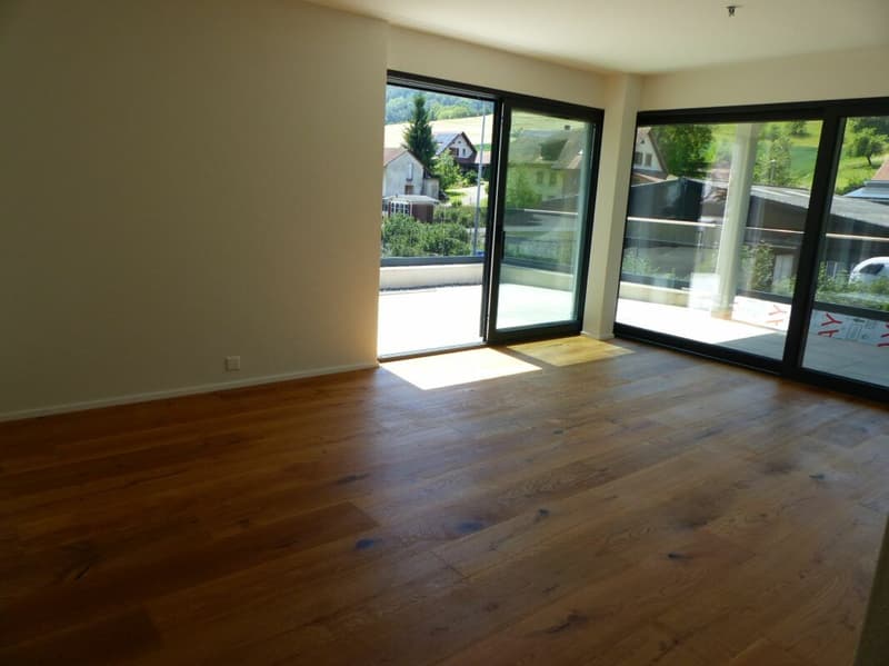 APPARTEMENT ATTRAYANT 5.5 PIÈCES DEFH À LOUER / NEUF (7)