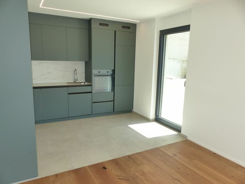 APPARTEMENT ATTRAYANT 5.5 PIÈCES DEFH À LOUER / NEUF (5)