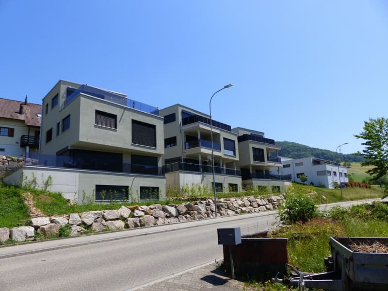 APPARTEMENT ATTRAYANT 5.5 PIÈCES DEFH À LOUER / NEUF (16)