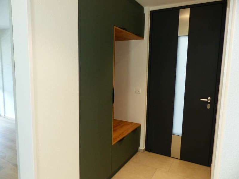 APPARTEMENT ATTRAYANT 5.5 PIÈCES DEFH À LOUER / NEUF (2)