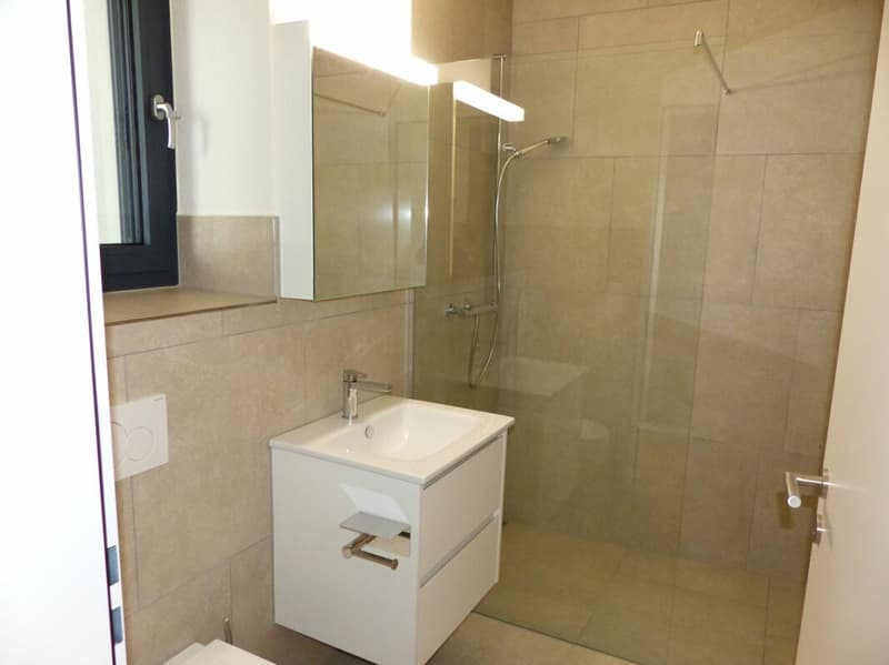 APPARTEMENT ATTRAYANT 5.5 PIÈCES DEFH À LOUER / NEUF (3)