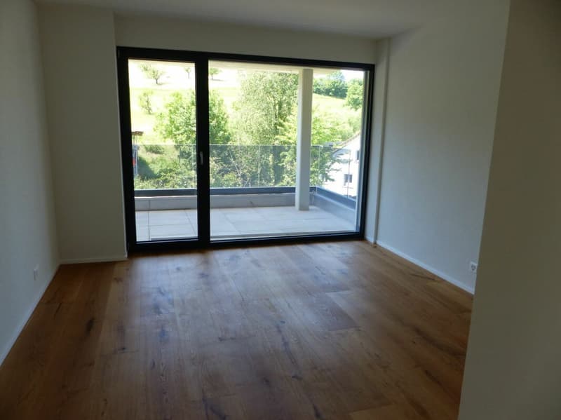 APPARTEMENT ATTRAYANT 5.5 PIÈCES DEFH À LOUER / NEUF (4)