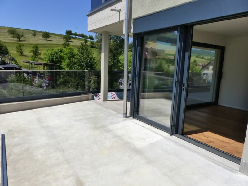 APPARTEMENT ATTRAYANT 5.5 PIÈCES DEFH À LOUER / NEUF (8)