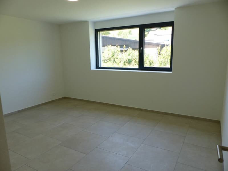 APPARTEMENT ATTRAYANT 5.5 PIÈCES DEFH À LOUER / NEUF (12)