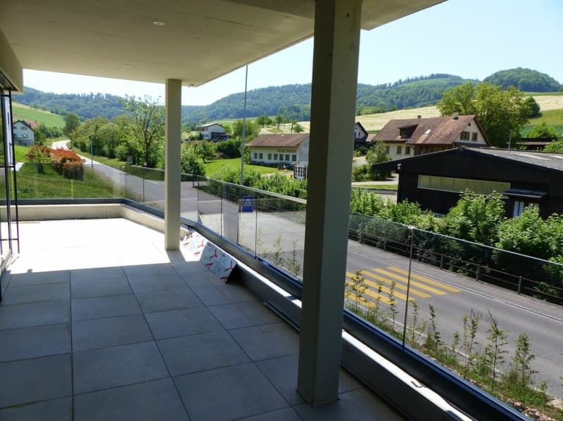 APPARTEMENT ATTRAYANT 5.5 PIÈCES DEFH À LOUER / NEUF (10)