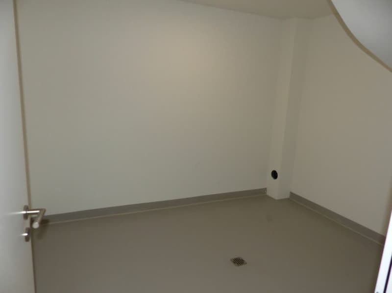 APPARTEMENT ATTRAYANT 5.5 PIÈCES DEFH À LOUER / NEUF (14)
