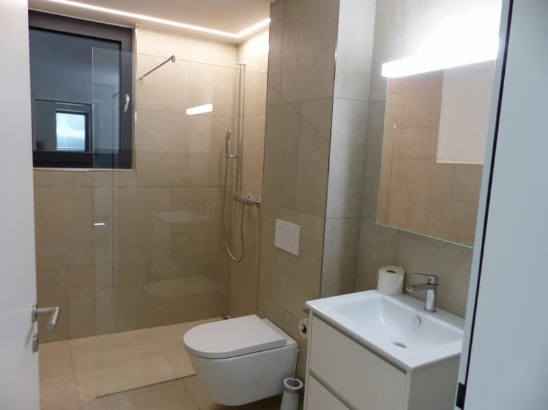 APPARTEMENT ATTRAYANT 5.5 PIÈCES DEFH À LOUER / NEUF (13)