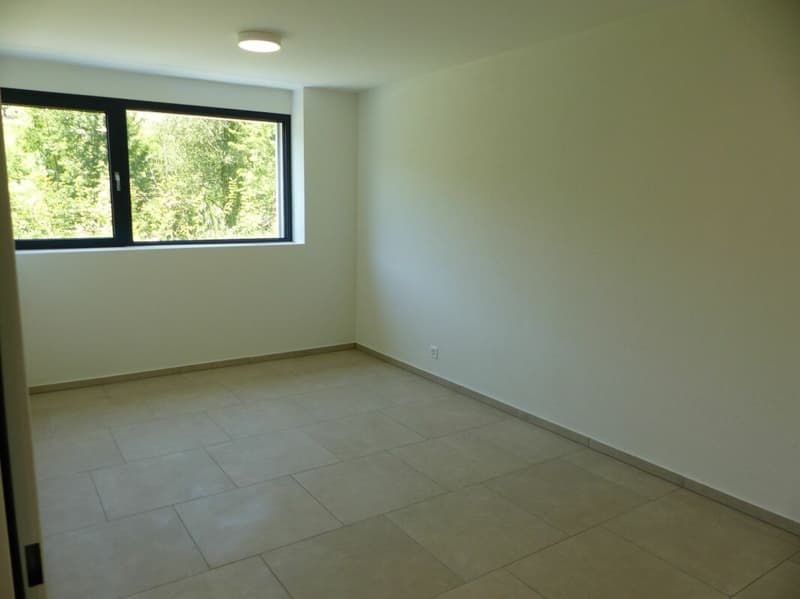 APPARTEMENT ATTRAYANT 5.5 PIÈCES DEFH À LOUER / NEUF (11)