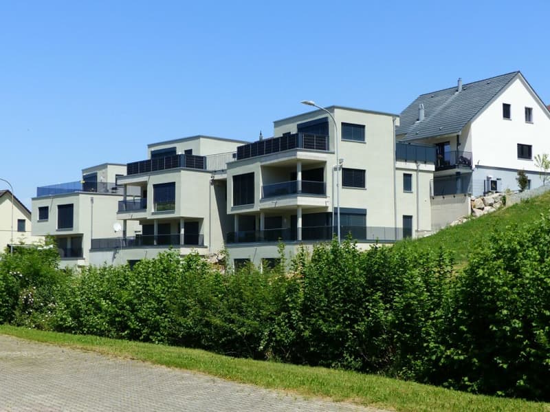 APPARTEMENT ATTRAYANT 5.5 PIÈCES DEFH À LOUER / NEUF (17)