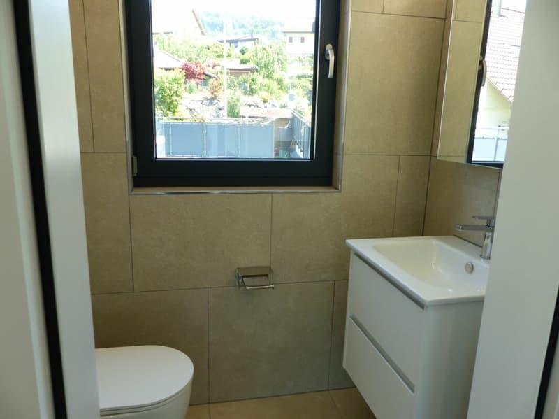 ATTRAKTIVE 4.5 ZIMMER-ATTIKA ZUM MIETEN / NEUBAU (8)