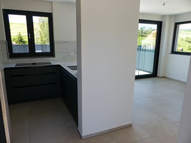 ATTRAKTIVE 4.5 ZIMMER-ATTIKA ZUM MIETEN / NEUBAU (7)