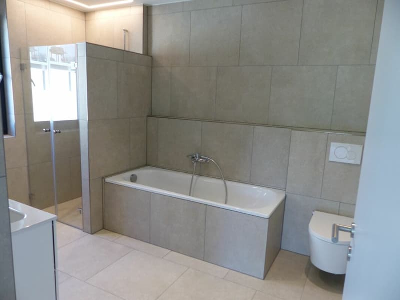 ATTRAKTIVE 4.5 ZIMMER-ATTIKA ZUM MIETEN / NEUBAU (12)