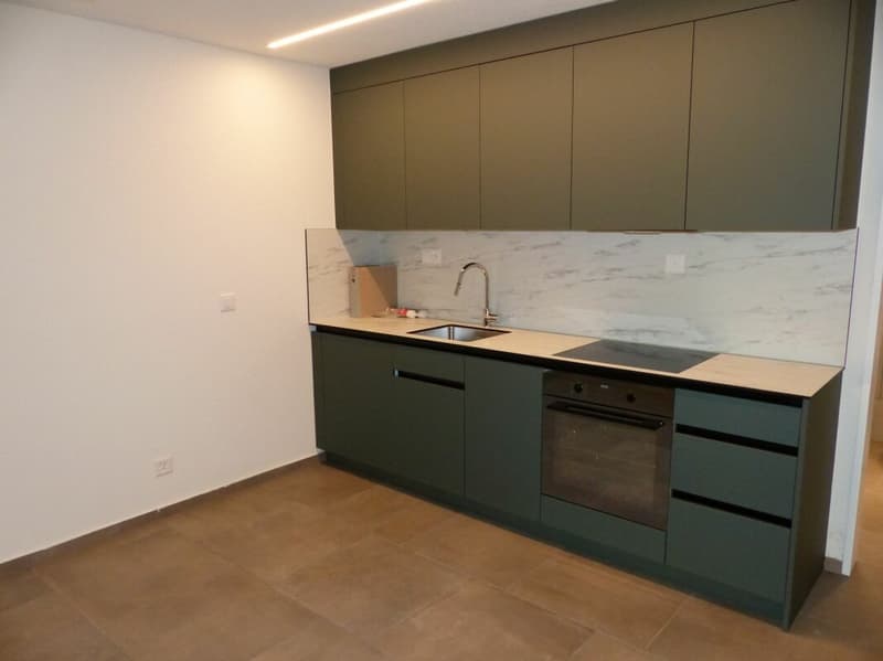 1 pièce bureau hobby avec cuisine et salle de bain (3)