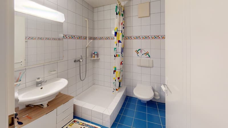 Grosszügiges 6.5-Zimmer-Einfamilienhaus am Rebberg: Weitsicht, Sonne und viel Privatsphäre (9)