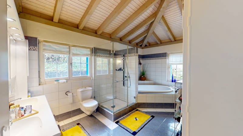 Grosszügiges 6.5-Zimmer-Einfamilienhaus am Rebberg: Weitsicht, Sonne und viel Privatsphäre (7)