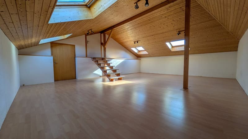 empty room, wooden floor, wooden ceiling, wooden door, wooden stairs, skylights
