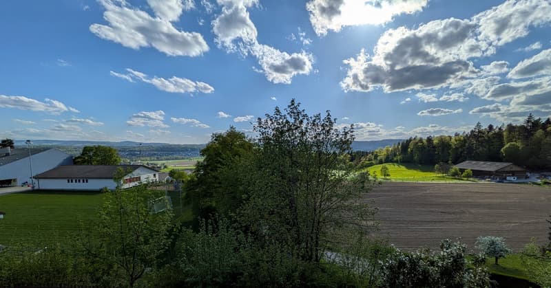 Detached single-family house in top location in Künten (4)