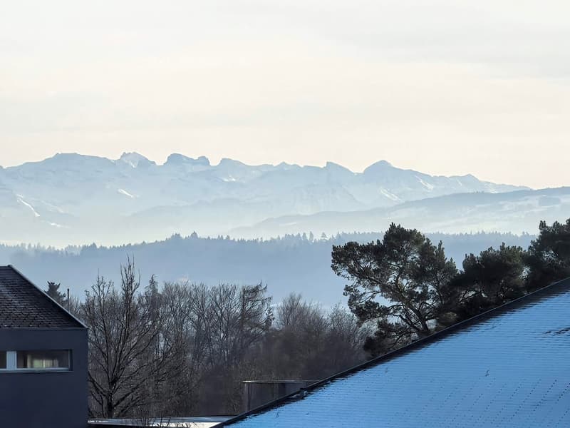 Detached single-family house in top location in Künten (6)