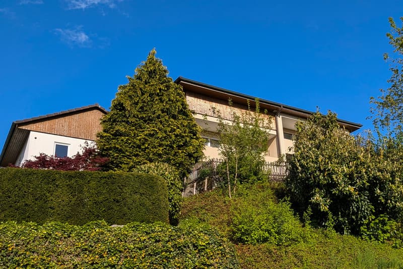 Detached single-family house in top location in Künten (2)