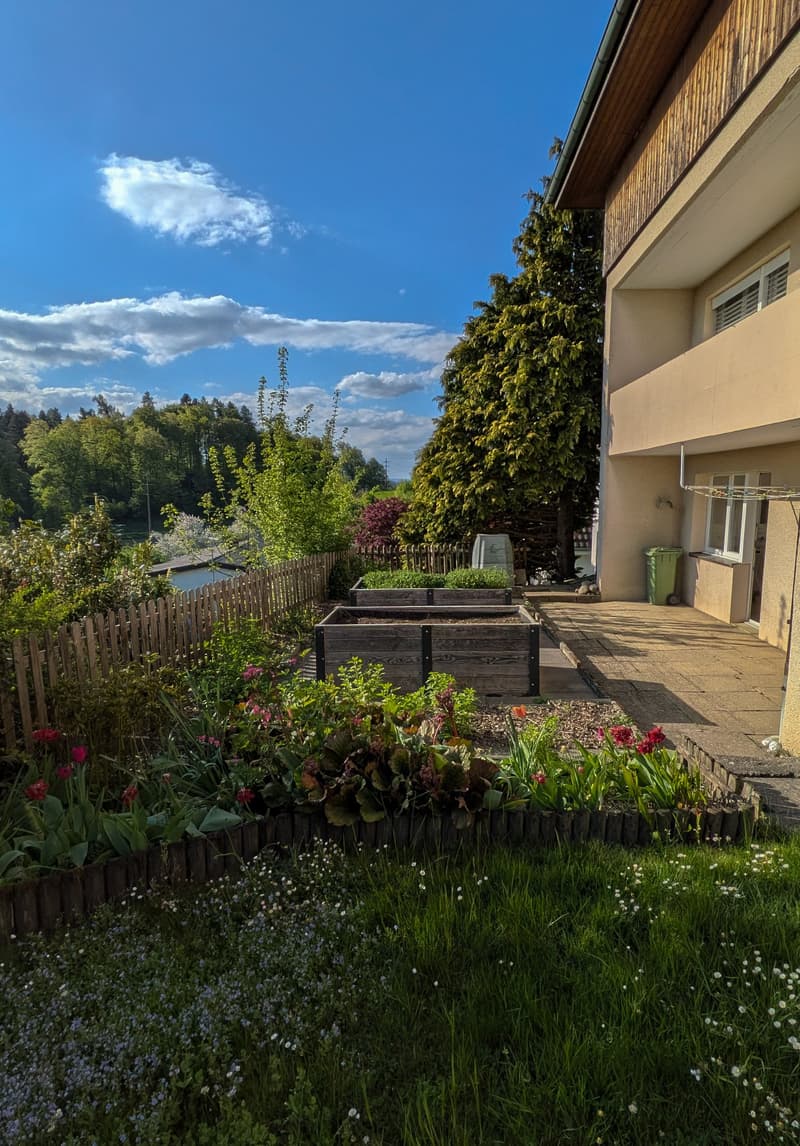 Detached single-family house in top location in Künten (8)