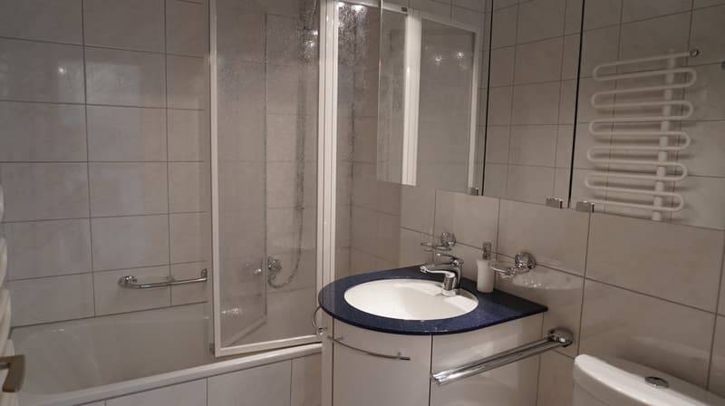 Davos Platz - 2-Room Holiday Apartment (4)