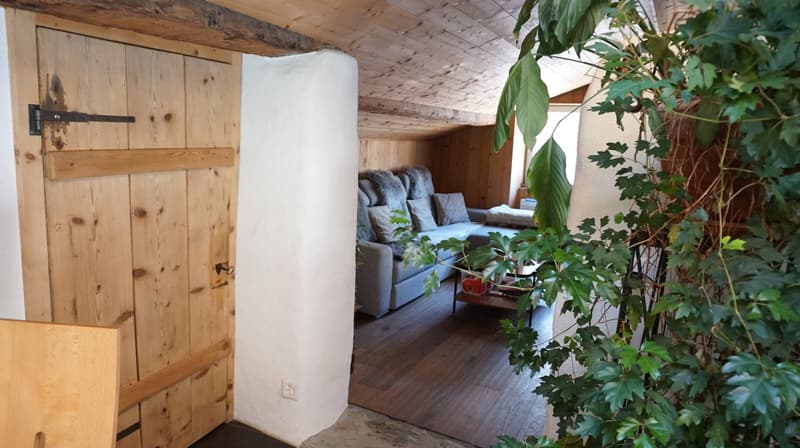 Felsberg - Casa unifamiliare 4,5 locali con estensione di fienile e prato separato (2)