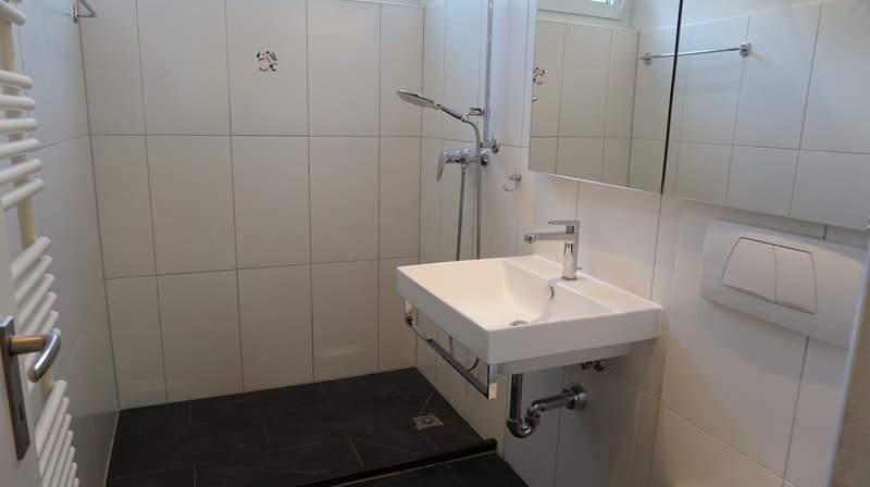 Chur - 5½-Zimmerwohnung (4)