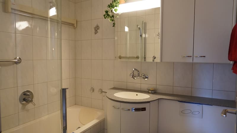 Chur - 4½-Zimmerwohnung (4)