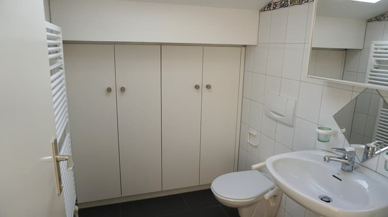 Trimmis - 4½-Zimmer-Dachwohnung (4)