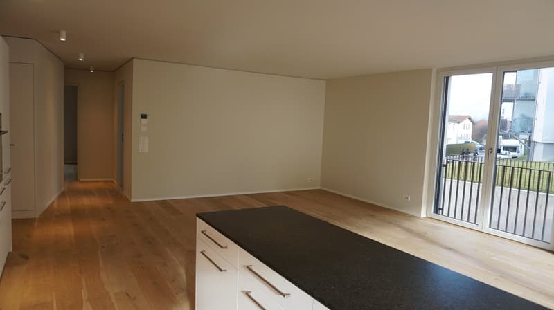 Domat/Ems - 4½-Zimmer-Gartenwohnungen (3)